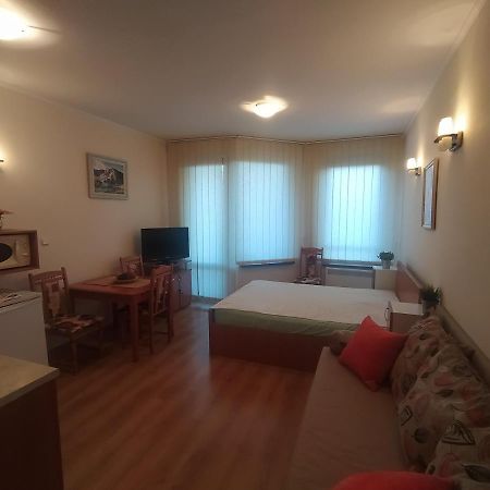 Pine Tree Studio B11 Банско Экстерьер фото