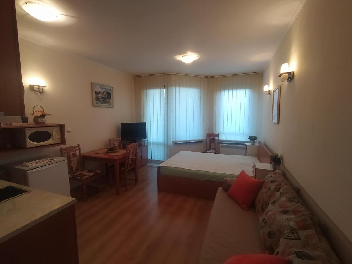 Pine Tree Studio B11 Банско Экстерьер фото