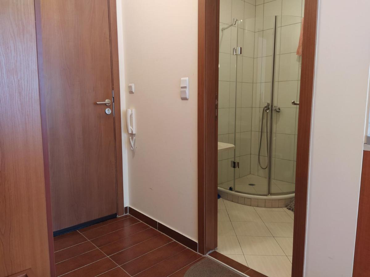 Pine Tree Studio B11 Банско Экстерьер фото
