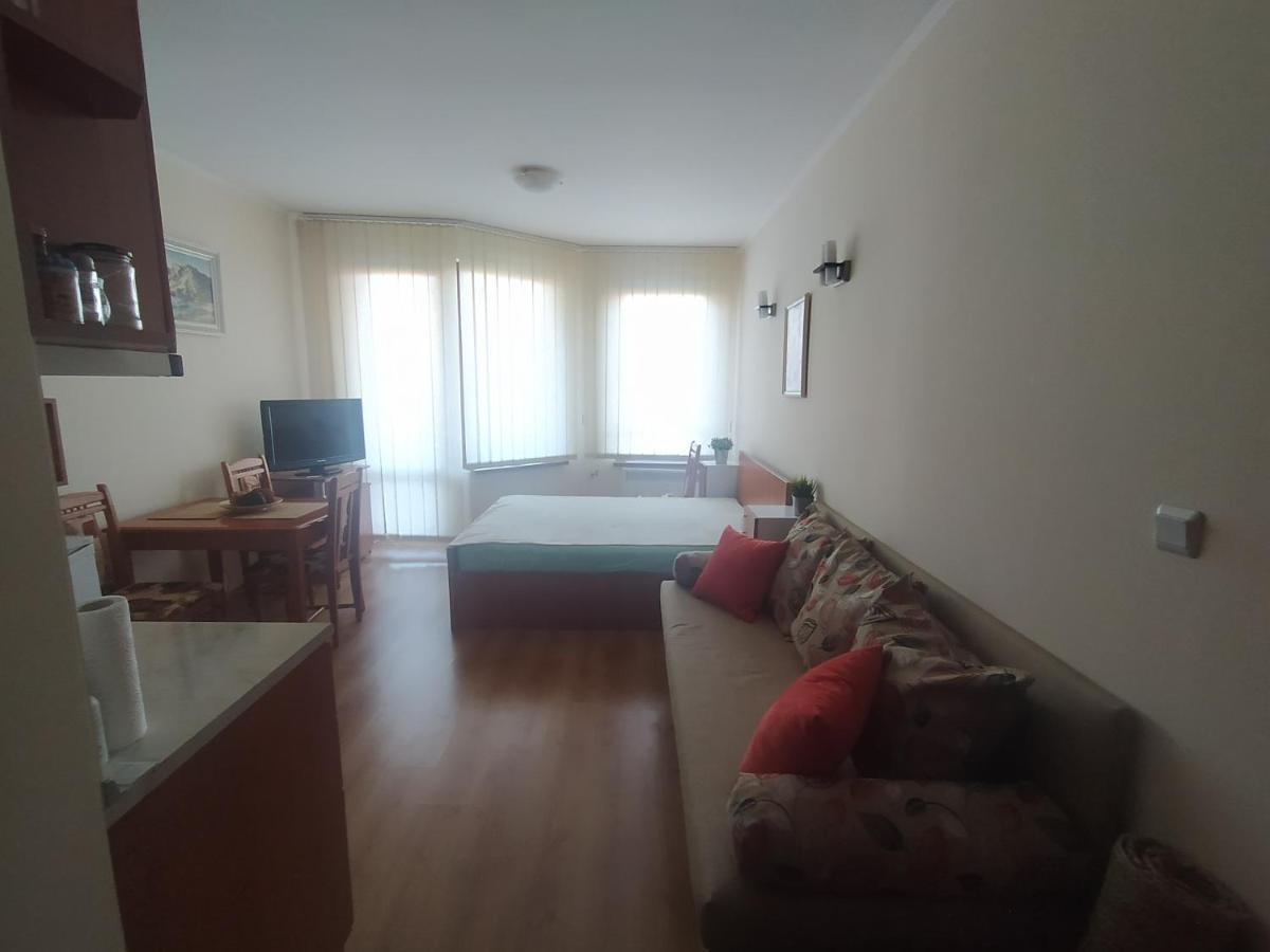 Pine Tree Studio B11 Банско Экстерьер фото